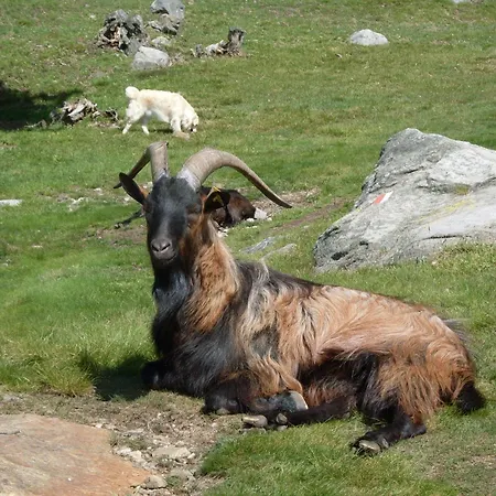 Alojamento de Turismo Rural Da Attilio Cannobio