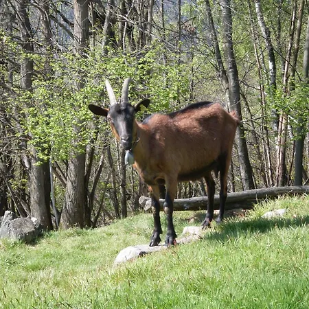 Da Attilio Alojamento de Turismo Rural *