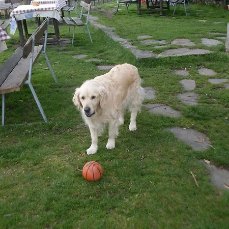 Κατάλυμα σε φάρμα Da Attilio