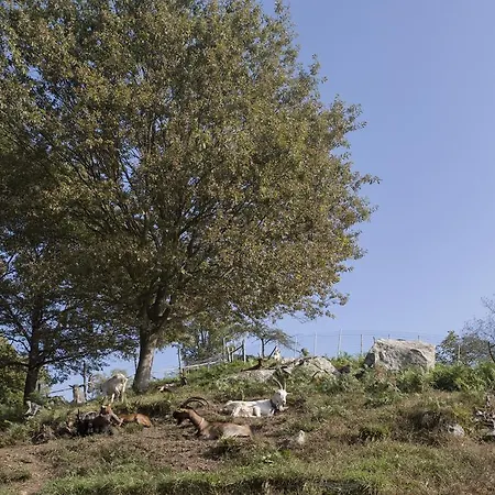 Κατάλυμα σε φάρμα Da Attilio