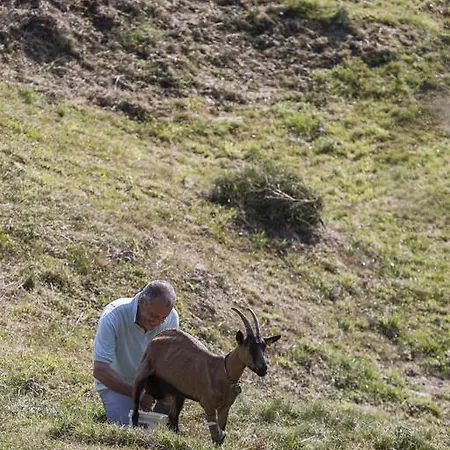 Κατάλυμα σε φάρμα Da Attilio *