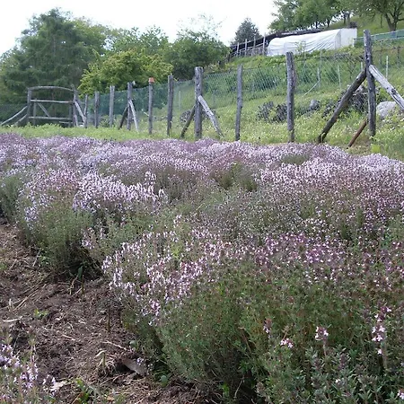 Da Attilio Alloggio per agriturismo *