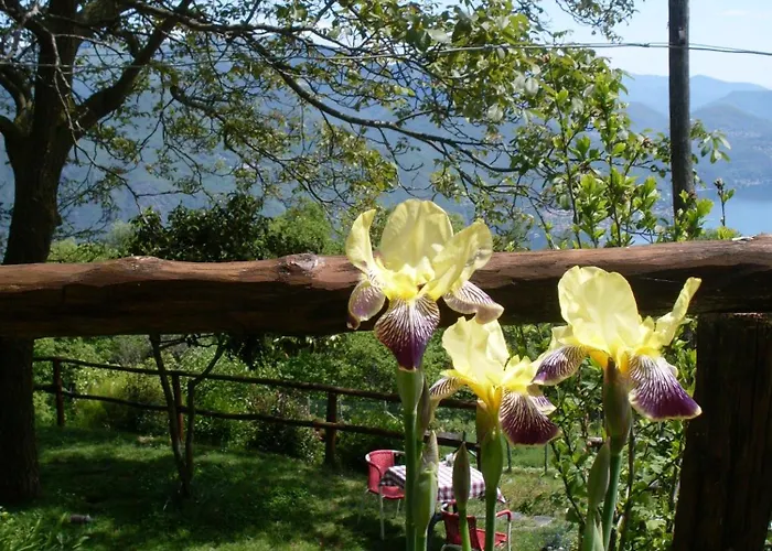 Alojamento de Turismo Rural Da Attilio