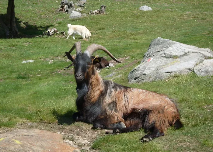 Alojamento de Turismo Rural Da Attilio Cannobio