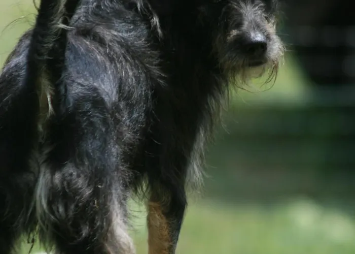 Da Attilio Alojamento de Turismo Rural