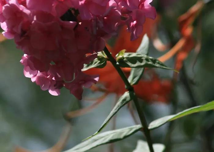 Da Attilio 팜스테이