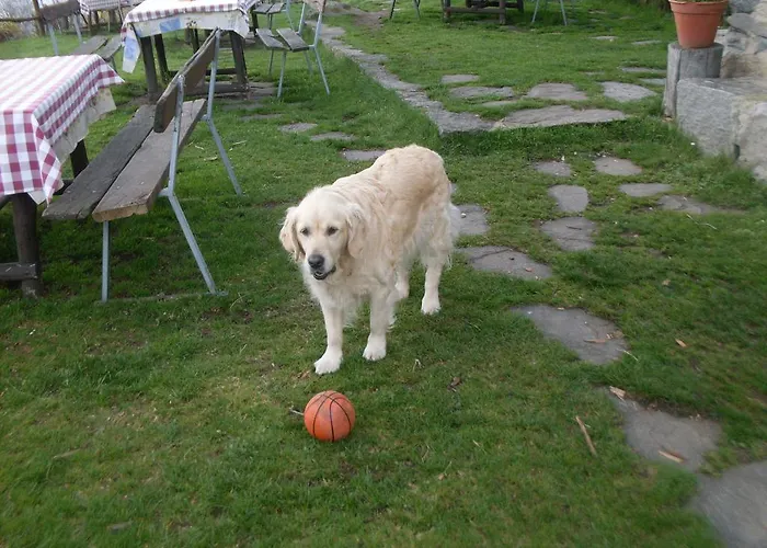 Alojamento de Turismo Rural Da Attilio