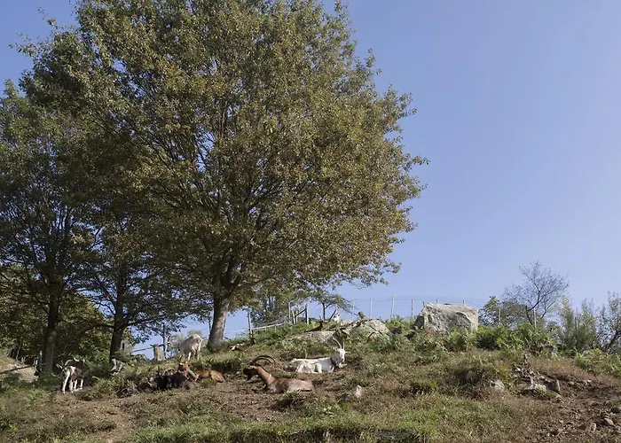 Alojamento de Turismo Rural Da Attilio