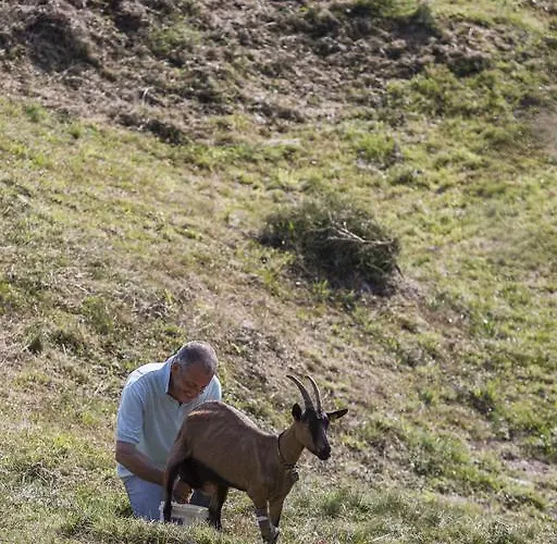 Alojamento de Turismo Rural Da Attilio *