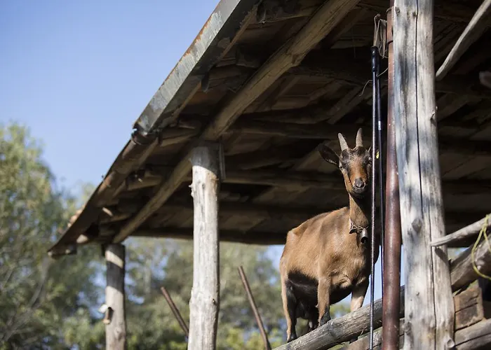 팜스테이 Da Attilio 카노비오