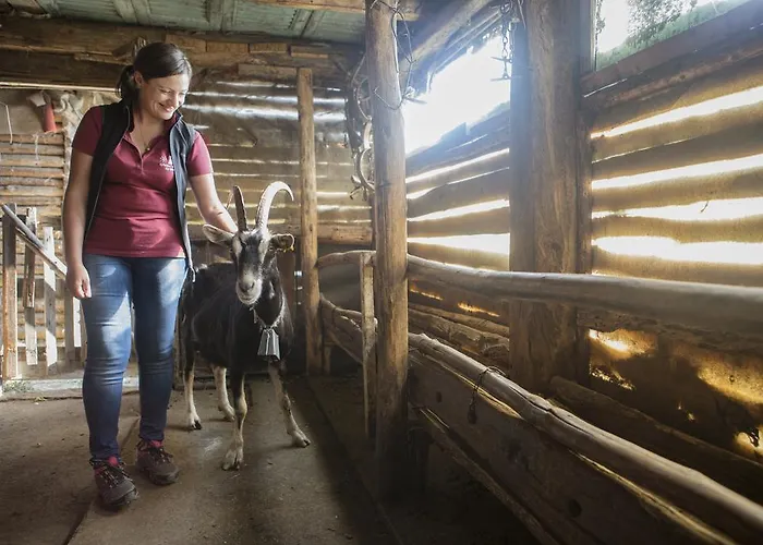Alojamento de Turismo Rural Da Attilio Cannobio